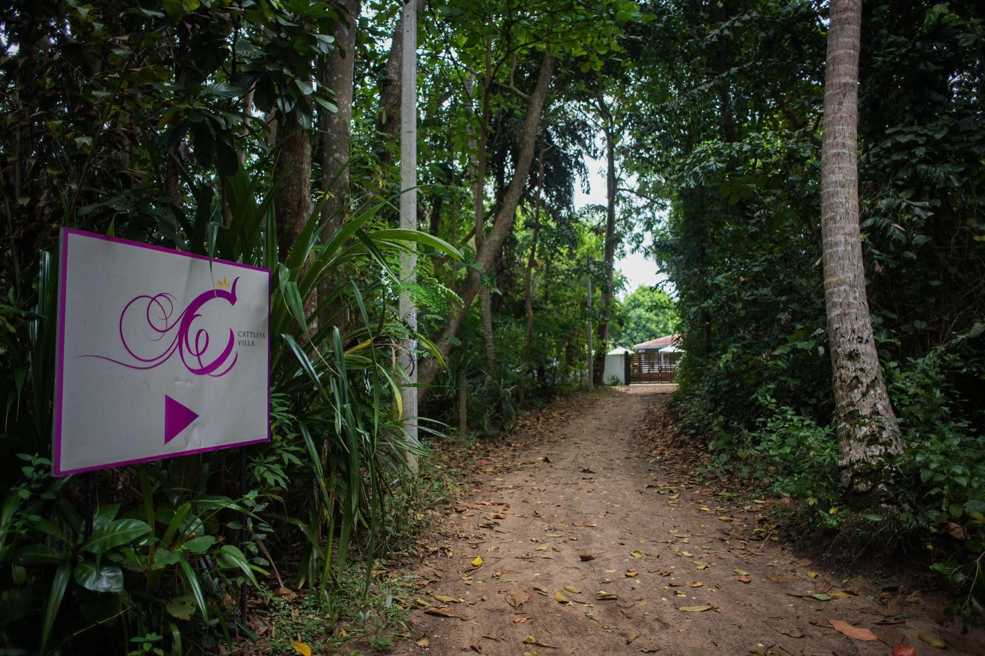 Cattleya Villa Hikkaduwa Εξωτερικό φωτογραφία