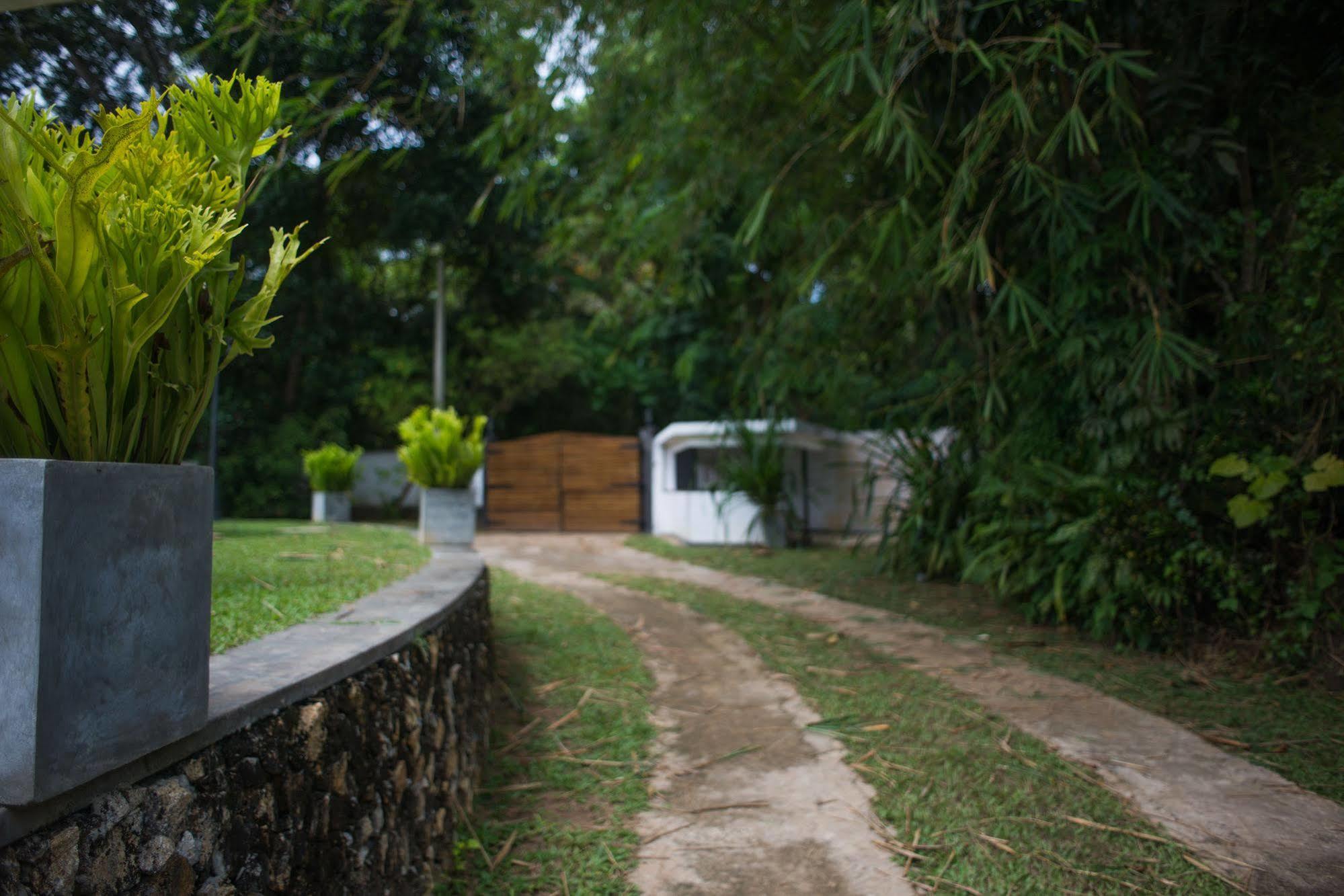 Cattleya Villa Hikkaduwa Εξωτερικό φωτογραφία
